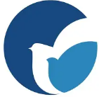 MedPeer